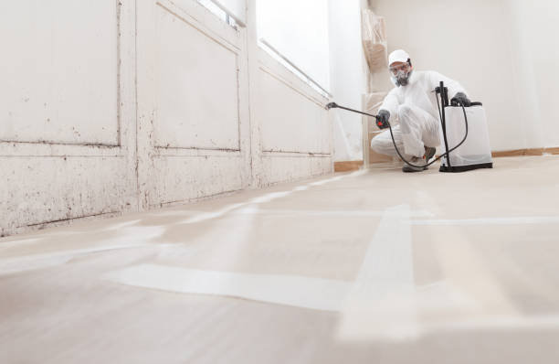 24/7 Emergency Attic Mold Removal experts in Manchester Township, NJ