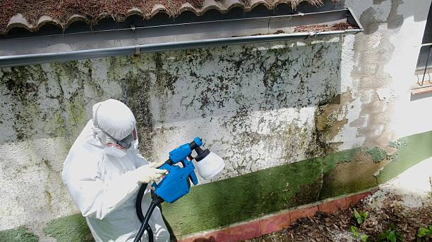 Trusted Attic Mold Removal service in Manchester Township, NJ - Cheap Mold Removal